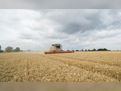 ABF Chief Warns of Potential Food Price Hikes Due to Small UK Harvests and Import Dependence