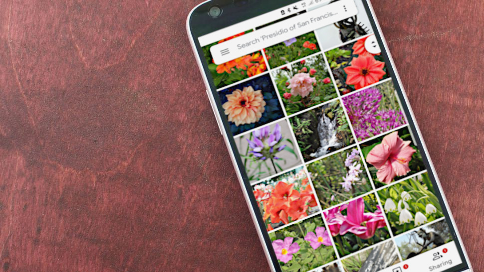 Google to stop iPhone users from getting free original quality Photos backup