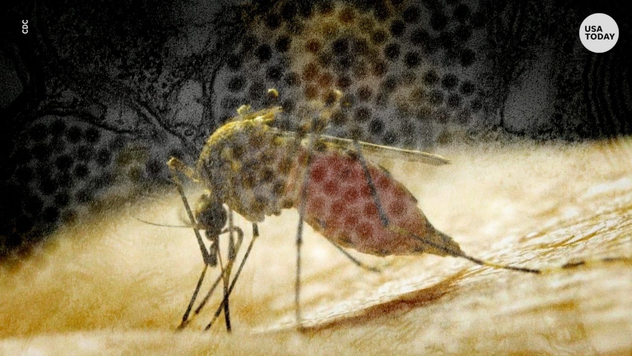 Diseases like West Nile, EEE and flesh-eating bacteria are flourishing due to climate change