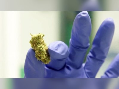 Two cannabis medicines approved for NHS