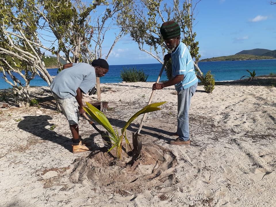 Tortola Lions Club president donates trees for replanting
