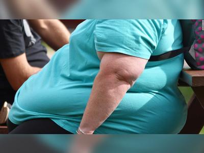 Half of America will be obese within 10 years, study says, unless we work together
