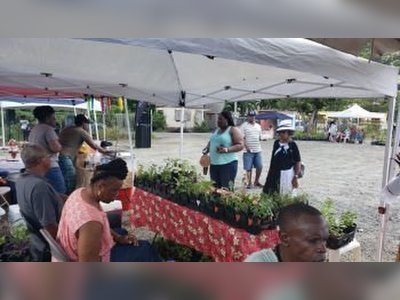 Carrot Bay holds first Christmas Market