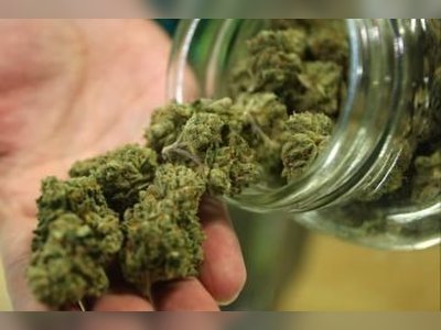 ‘We are not going to make people high’ on marijuana- Premier Fahie