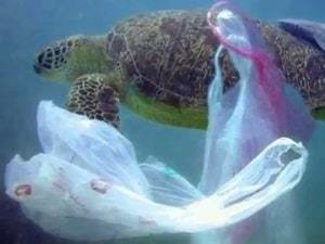7 Caribbean countries to ban plastic in 2020
