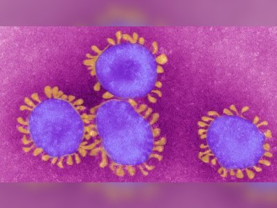 Coronavirus: Could it become pandemic?