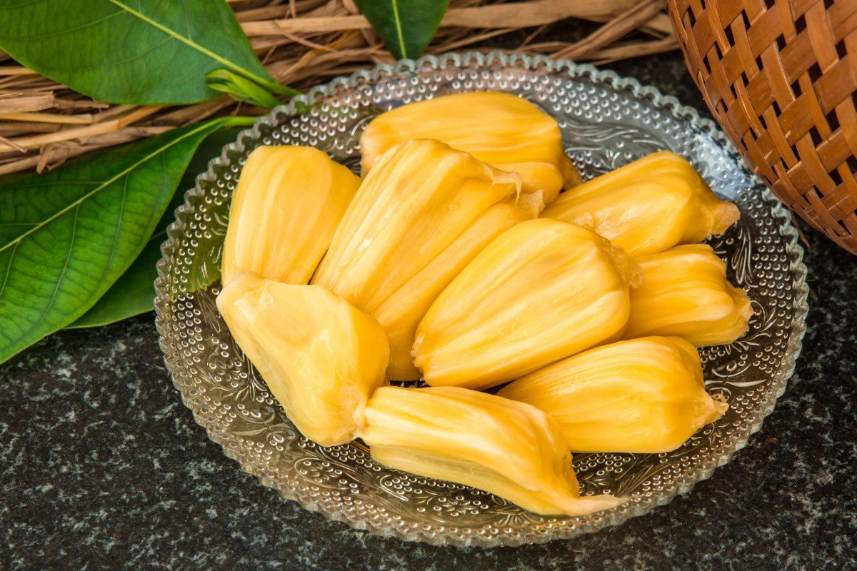 Jackfruit, vegan meat substitute used for pulled pork, tacos, British Virgin Islands