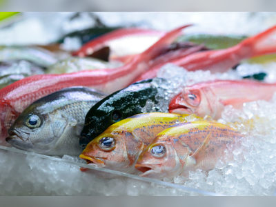 BVI to begin exporting fish to the region