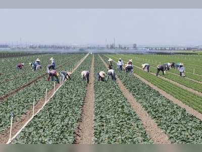 Farmworkers Are Caught Between Coronavirus Fears And Feeding The Nation: “We Are Very Worried”
