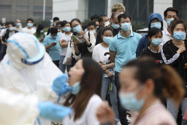 New flu virus with 'pandemic potential' found in China