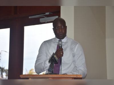 Find investor to manage LIAT - Survival of airline vital to region’s economy - Walwyn