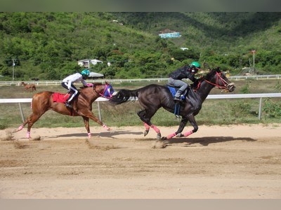 Keeping the sport alive | Moonlight Bandit wins BVI's first horse race since COVID-19