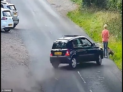 Shocking moment a hit-and-run driver mows down woman and dog before three people abandon car and flee