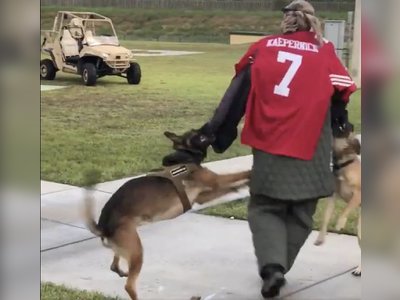The US Navy Is Investigating A Video Showing Military Dogs Attacking A Man In A Colin Kaepernick Jersey During A Demonstration