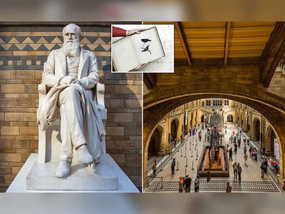 Now Charles Darwin gets cancelled: Natural History museum will review 'offensive' exhibitions about the Father of Evolution because HMS Beagle's Galapagos voyage was 'colonialist'