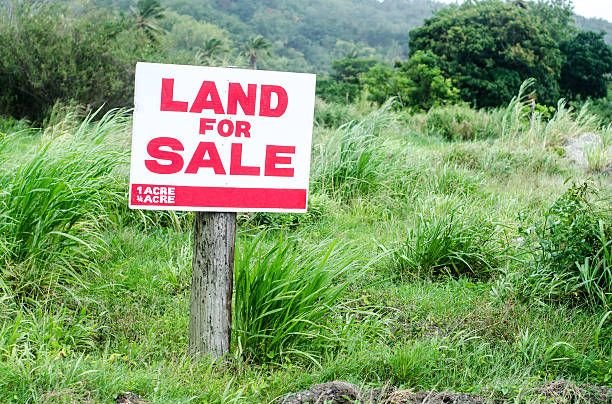 Buy land rather then 'expensive cars'- Hon Vanterpool to young people