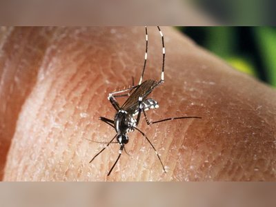 Dengue fever claims 2 lives in SVG