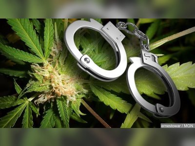 2 arrested for cannabis, breach of curfew