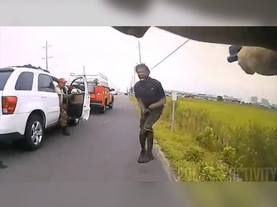 Warning: Video shows cops shoot man dead in front of horrified motorists