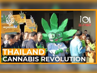 Thailand's Cannabis Revolution