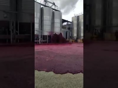 Red wine tsunami! The moment a 50,000-litre tanks bursts at a winery in Spain and unleashes a flood of red wine