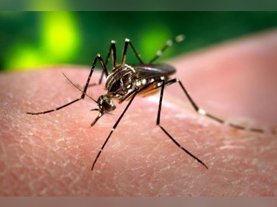 Nearly 60 confirmed dengue cases in VI!