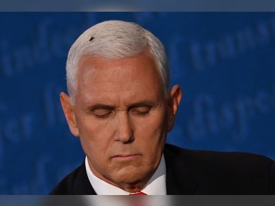 A fly on Pence’s head and 5 other highlights from the VP debate
