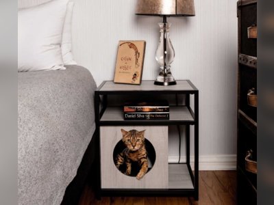 Modern Cat Furniture You and Your Pet Will Love