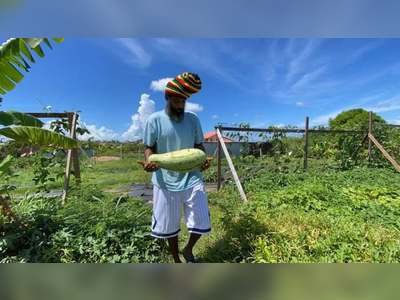 Sustainable farming the way forward for BVI, says local farmer