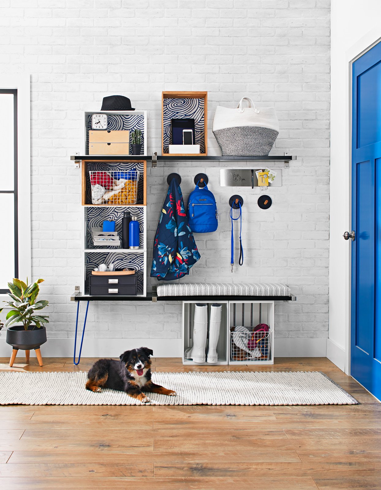 11 Smart Storage Solutions for Pet Supplies