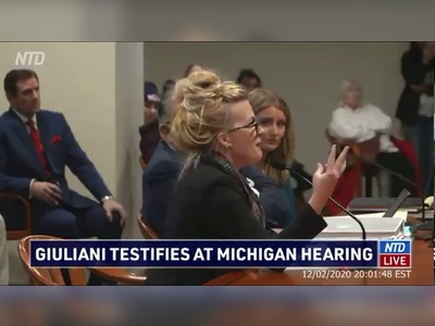 A Michigan Democrat made the mistake of asking a witness just now why more witnesses don't come forward.