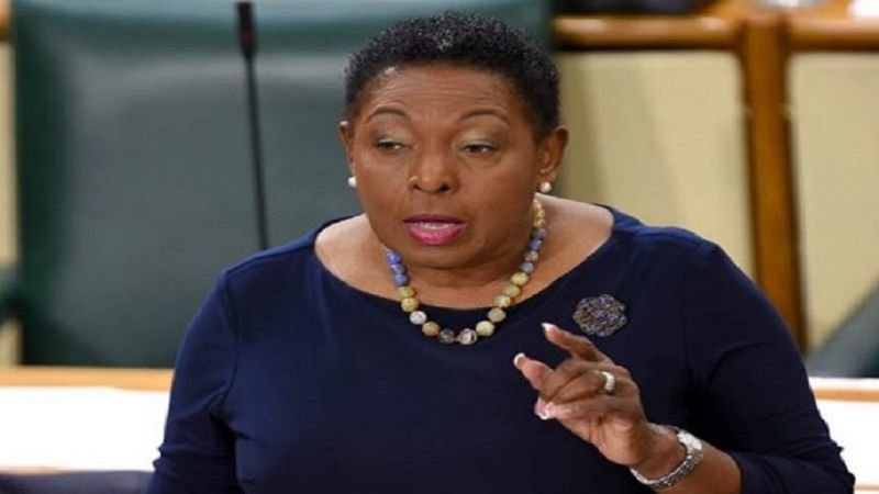 Jamaica Culture Minister seeking UN support for reparations