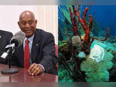 ‘Strike Team’ formed to tackle destructive Coral Disease in VI