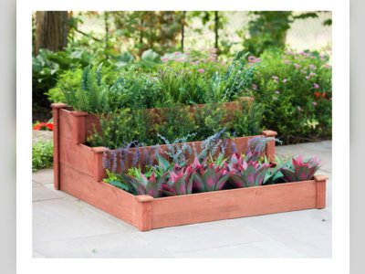 8 Raised Beds That Make It Easier to Grow Your Own Fresh Produce