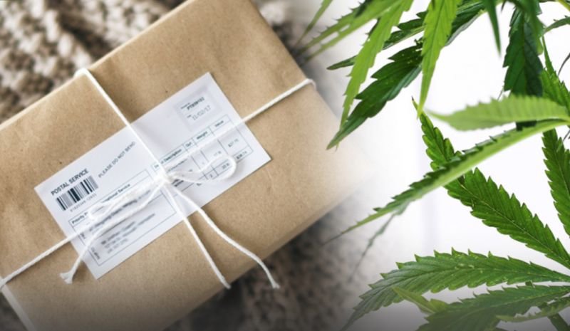 Nanny Cay woman receives suspected cannabis through mail