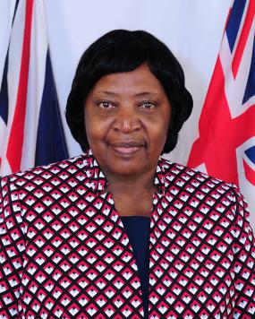 Mrs. Rosalie Adams, Obe, to lead police service commission