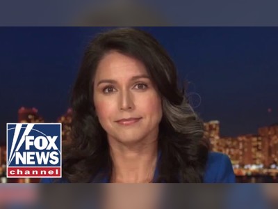 Tulsi Gabbard: Lawmakers are undermining the foundation our country was built on