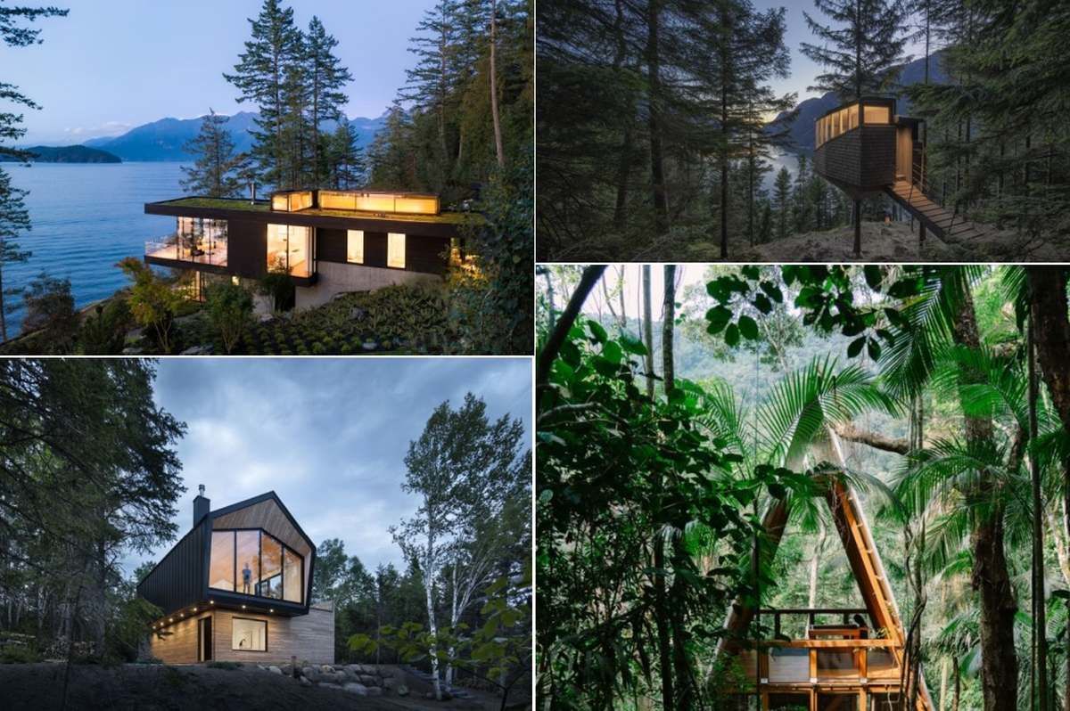 Modern Forest Houses That Make The Most Of Their Beautiful Natural Surroundings