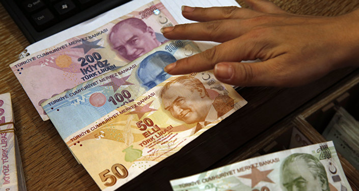 Erdogan Says National Currency's Fall Does Not Reflect State of Turkish Economy