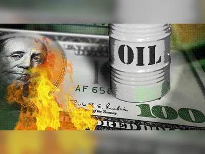 Hidden Costs of the Petrodollar Uncovered