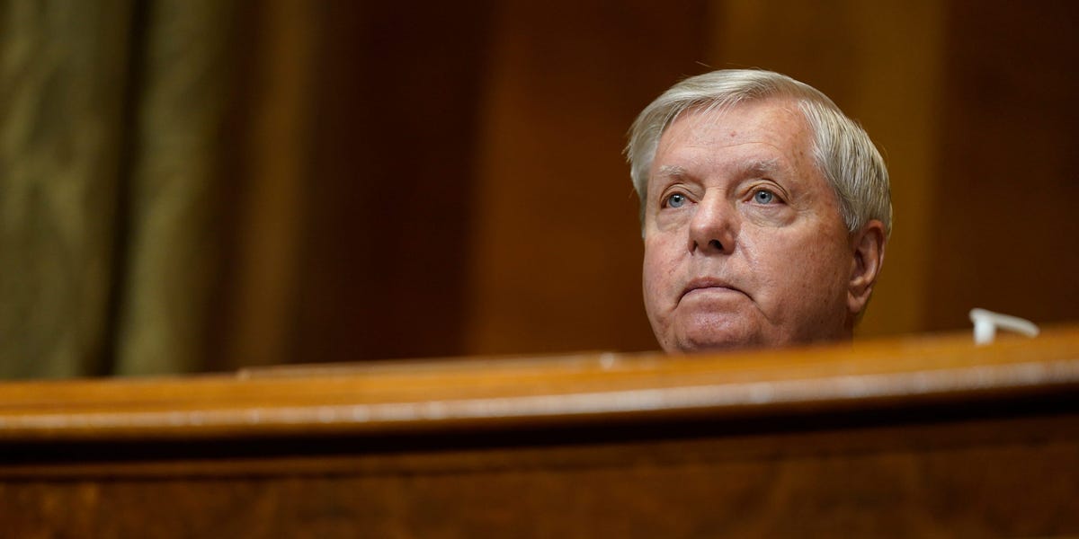 Lindsey Graham slams Biden as 'a very destabilizing president' who wants to 'regulate America out of business'