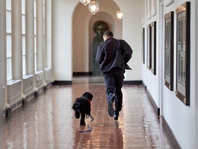 The Obama family mourns the death of the family dog: "We have lost a dear friend"