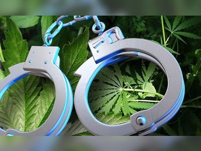 Baughers Bay man charged for marijuana cultivation