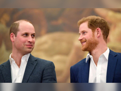 Diana Statue Event May "Break Ice" For Princes William, Harry: Royal Biographer