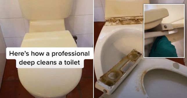 Cleaner reveals the hidden bit of your toilet that could be causing a bad smell