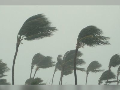 Hurricane 2021: Plan evacuations now should storms arrive - DDM