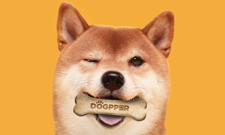 Burger King Brazil's DOGE Campaign: Dogecoin Accepted for Dog Treats