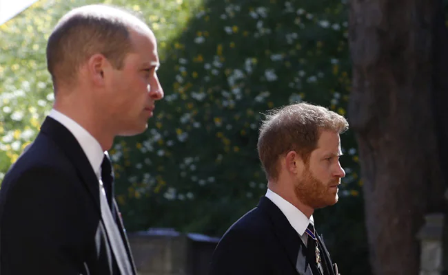 Princes William, Harry Barely Spoke To One Another At Event