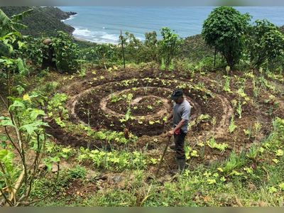 Gov’t seeks to find out how much produce farmers are growing in BVI