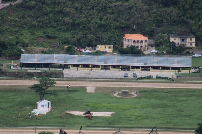 Grandstand repairs affected by Ellis Thomas Downs lease re-negotiations